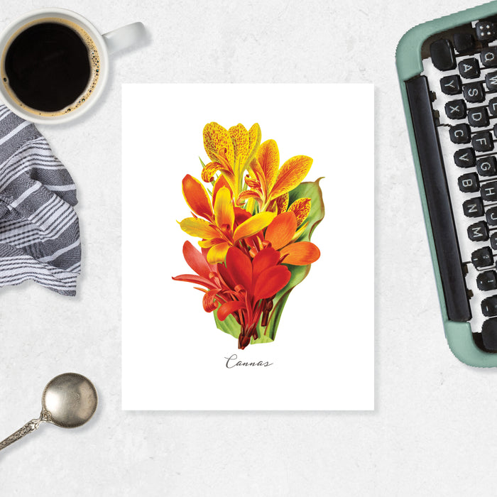 cannas flowers in watercolors, shades of reds and golden yellow with word Cannas written at the bottom on matte white paper