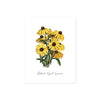 black eyed susan flowers on matte white paper with the words Black Eyed Susan at the bottom