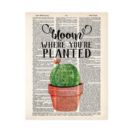 bloom where you're planted quote with a terracotta plant pot with a prickly cactus with a single flower blooming in peachy terracotta colors on dictionary paper