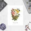 honeysuckle flowers in watercolor above the word honeysuckle on matte white paper