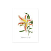 Watercolor Japanese Lily with the text Japanese lily under the image on matte white paper