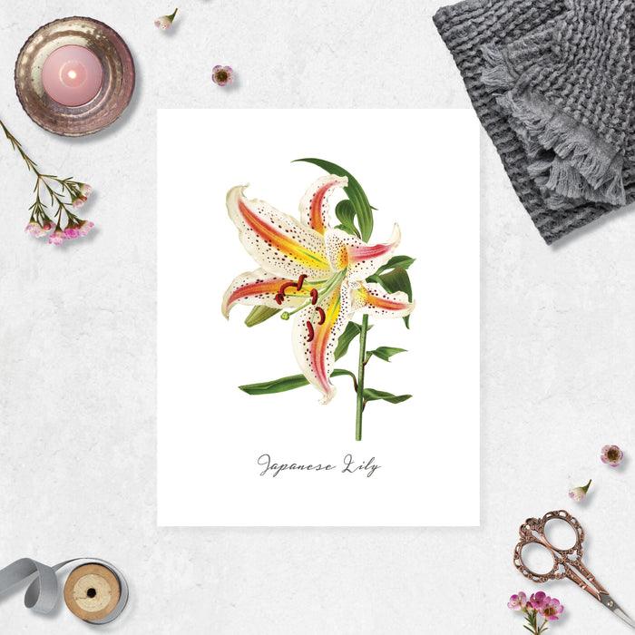 Watercolor Japanese Lily with the text Japanese lily under the image on matte white paper