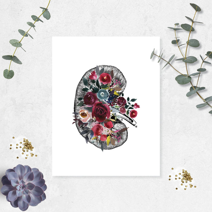 Vintage etching the cross section of a kidney decorated with watercolor flowers in blues and reds printed on matte white paper