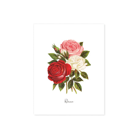 watercolor roses in pink, white, and red with greenery with the word rose at the bottom printed on matte white paper