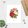 watercolor roses in pink, white, and red with greenery with the word rose at the bottom printed on matte white paper