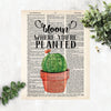 bloom where you're planted quote with a terracotta plant pot with a prickly cactus with a single flower blooming in peachy terracotta colors on dictionary paper