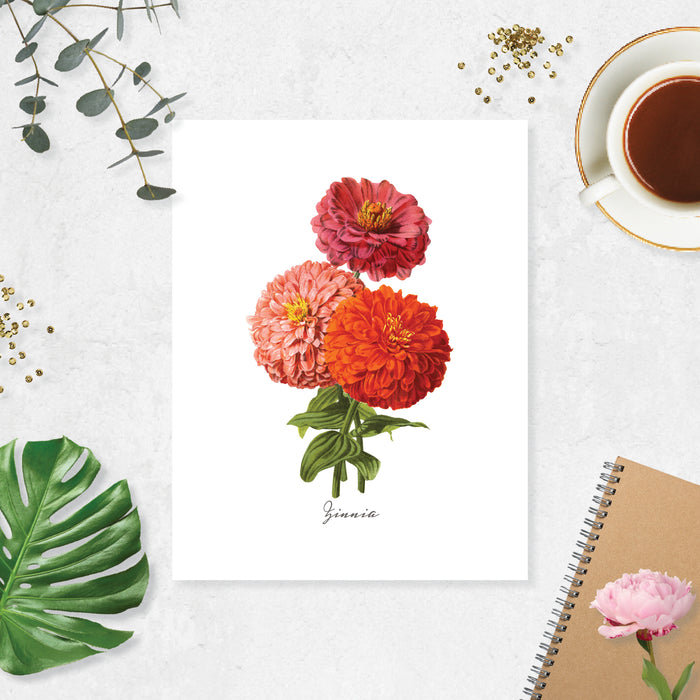 zinna flowers in pinks peach and orange with greenery and the word zinna at the bottom printed on matte white paper